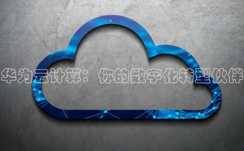 凯捷ARGA公司华为云计算：你的数字化转型伙伴