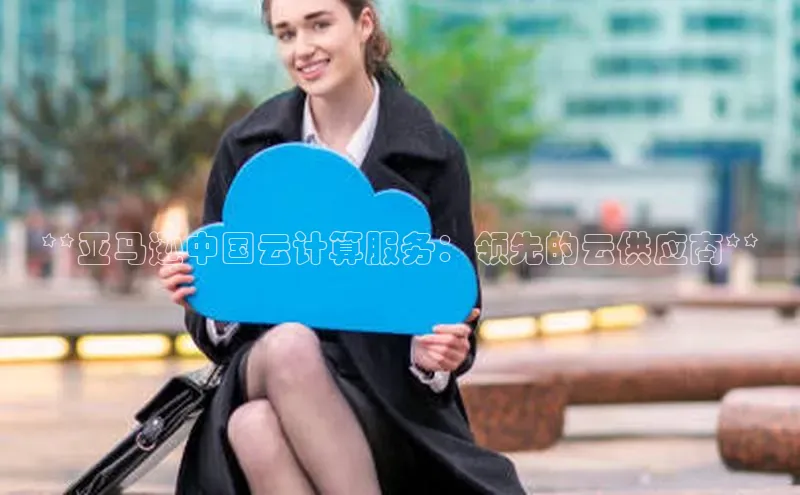 意昂4凯捷娱乐百度社团赞助平台**亚马逊中国云计算服务：领先的云供应商**