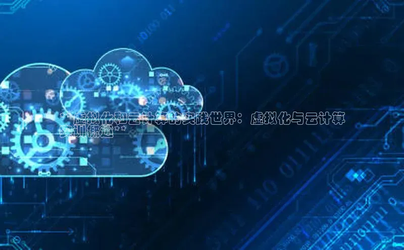 意昂4凯捷体育百度网盘企业版**虚拟化和云计算的实践世界：虚拟化与云计算
实训概述**