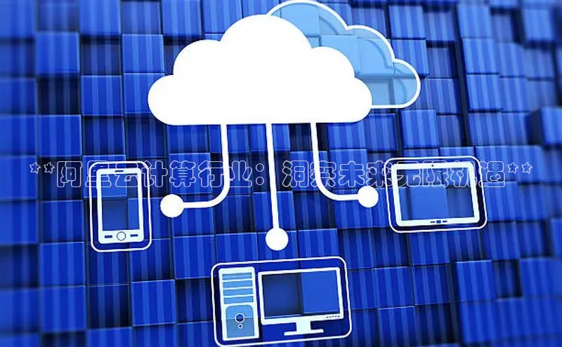 意昂4凯捷娱乐顺丰**阿里云计算行业：洞察未来无限机遇**