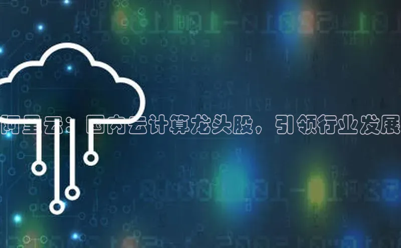 凯捷娱乐阿里尔公司阿里云：国内云计算龙头股，引领行业发展