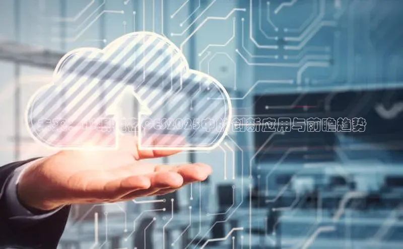 未来：AI眼镜在CES2025中的创新应用与前瞻趋势